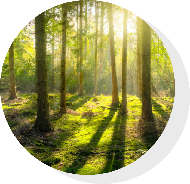 毎日笑顔で幸せな人生を送れるよう支援致します