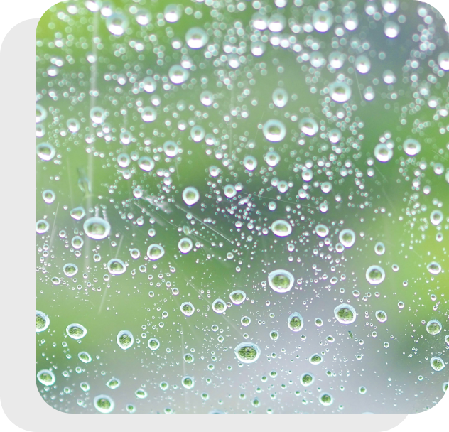 晴れない気持ちに寄り添います